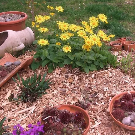 Vogloeder Hof Casa de hóspedes 4*